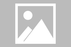 AYX-莎拉波娃新星回归赛场表现惊艳，篮网未来可期！的简单介绍